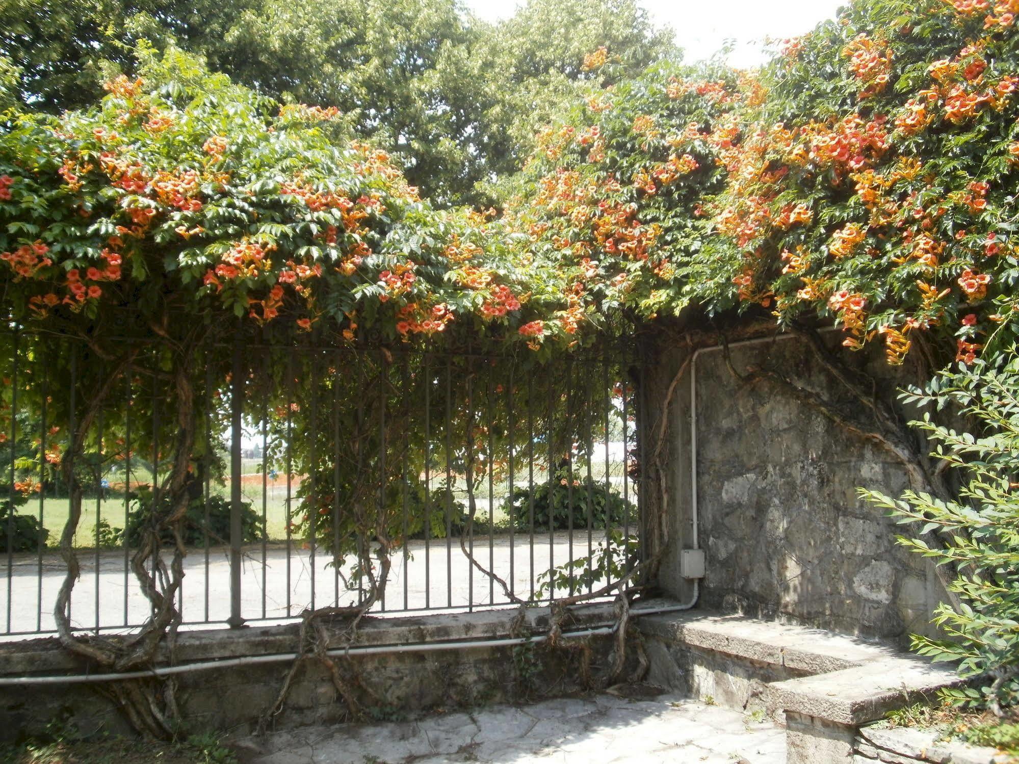 Albergo Villa & Roma Pallazzolo sullʼOglio المظهر الخارجي الصورة